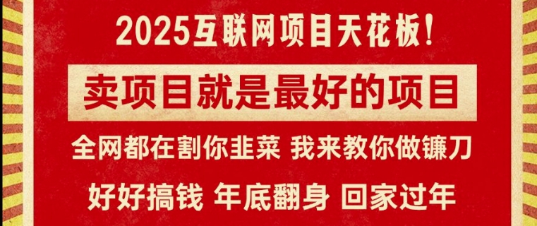 卖项目就是最好的项目，2025年互联网项目天花板 - 副业心选-副业心选