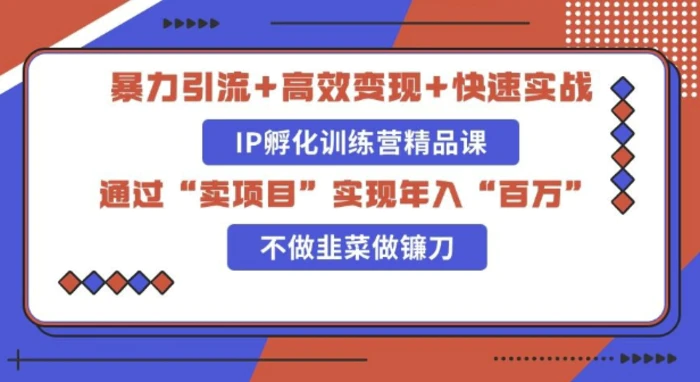 知识付费独家玩法：精准引流+高效变现，简单复制成功模式，最新IP共创导师训练营玩法 - 副业心选-副业心选