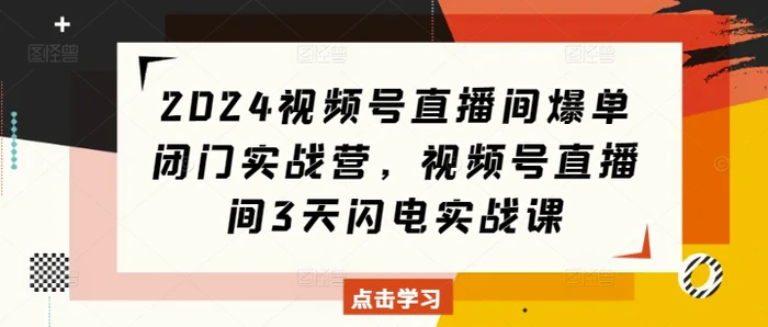 2024视频号直播间爆单闭门实战营，视频号直播间3天闪电实战课 - 副业心选-副业心选