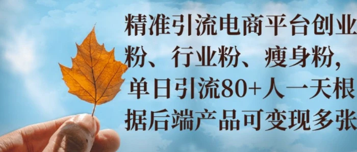 小投资撬动大收益，精准引流创业粉、行业粉，单日引流80+，一天可变现多张 - 副业心选-副业心选
