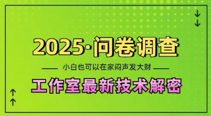 2025问卷调查最新工作室技术解密：一个人在家也可以闷声发大财，小白一天2张，可矩阵放大-副业心选