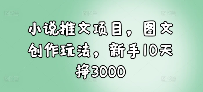小说推文项目，图文创作玩法，新手10天挣3000 - 副业心选-副业心选
