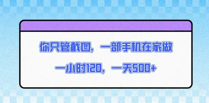 （13785期）你只管截图，一部手机在家做，一小时120，一天500+-副业心选