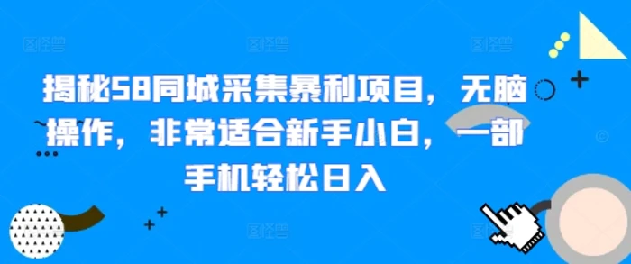 揭秘58同城采集暴利项目，无脑操作，非常适合新手小白，一部手机轻松日入 - 副业心选-副业心选