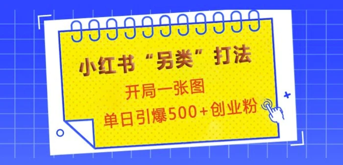 小红书“另类”打法，开局一张图，单日引爆500+精准创业粉【揭秘】 - 副业心选-副业心选