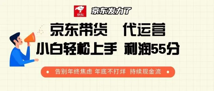 （13833期）京东带货 代运营 利润55分 告别年终焦虑 年底不打烊 持续现金流 - 副业心选-副业心选