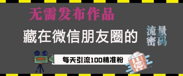 藏在微信朋友圈的流量密码，无需发布作品，单日引流100+精准创业粉 - 副业心选-副业心选