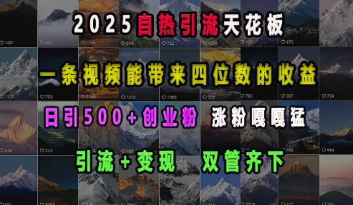 2025自热引流天花板，一条视频能带来四位数的收益，引流+变现双管齐下，日引500+创业粉，涨粉嘎嘎猛 - 副业心选-副业心选