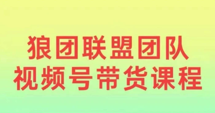 狼团联盟2024视频号带货，0基础小白快速入局视频号 - 副业心选-副业心选