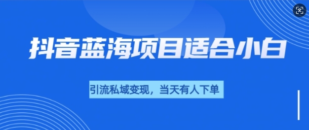 抖音蓝海小赛道私域变现项目，单价9.9单天变现100+，实操玩法分享给你 - 副业心选-副业心选