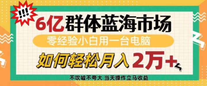 6亿群体蓝海市场，零经验小白用一台电脑，如何轻松月入过w-副业心选