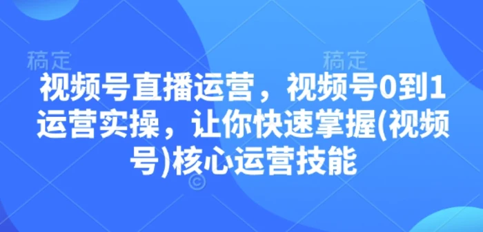 视频号直播运营，视频号0到1运营实操，让你快速掌握(视频号)核心运营技能 - 副业心选-副业心选