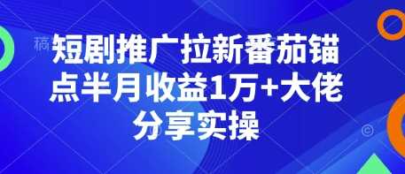 短剧推广拉新番茄锚点半月收益1万+大佬分享实操 - 副业心选-副业心选
