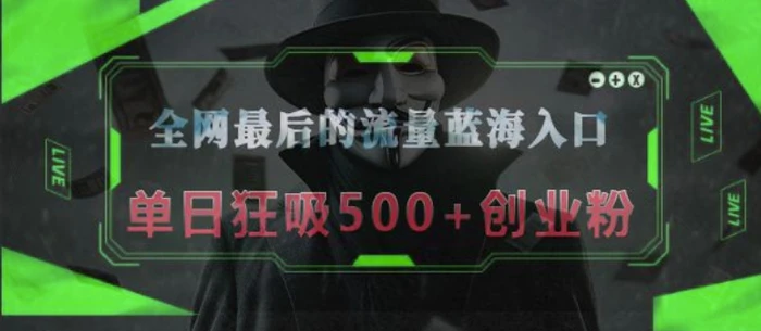 全网最后的流量蓝海入口，半小时引流50+创业粉，单日狂吸500+创业粉 - 副业心选-副业心选