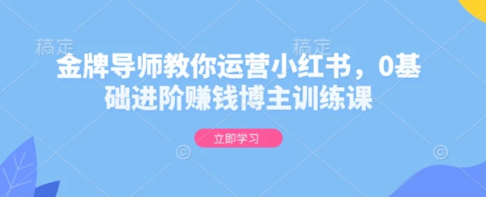 金牌导师教你运营小红书，0基础进阶赚钱博主训练课-副业心选