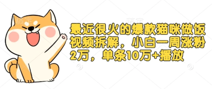 最近很火的爆款猫咪做饭视频拆解，小白一周涨粉2万，单条10万+播放(附保姆级教程)-副业心选