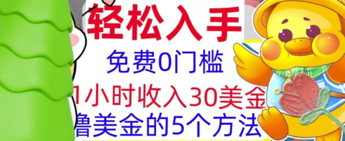 免费撸美刀的5个方法，1小时收入30美刀，0门槛，轻松入手-副业心选