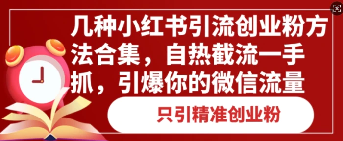 几种小红书引流创业粉方法合集，自热截流一手抓，引爆你的微信流量-副业心选