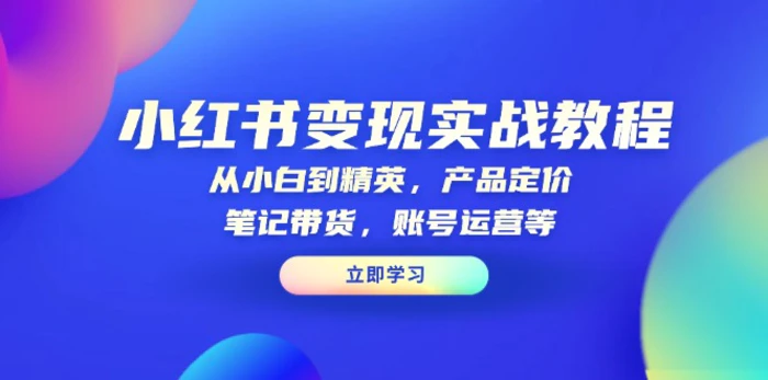 （13923期）小红书变现实战教程：从小白到精英，产品定价，笔记带货，账号运营等-副业心选