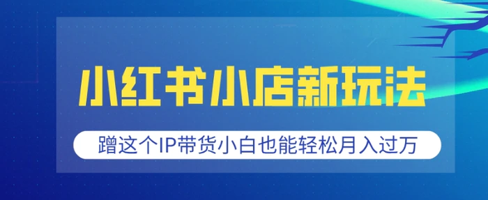 小红书小店新玩法，蹭这个IP带货，小白也能轻松月入过W【揭秘】-副业心选
