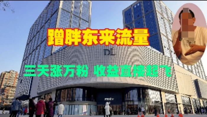 蹭胖东来流量，三天涨万粉，收益直接起飞 - 副业心选-副业心选