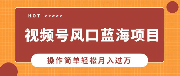 视频号风口蓝海项目，中老年人的流量密码，操作简单轻松月入过W - 副业心选-副业心选