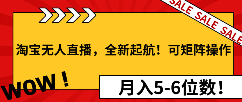 （13946期）淘宝无人直播，全新起航！可矩阵操作，月入5-6位数！ - 副业心选-副业心选