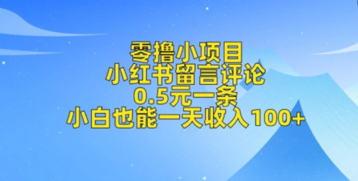 零撸小项目，小红书留言评论，0.5元一条，小白也能一天收入100+ - 副业心选-副业心选