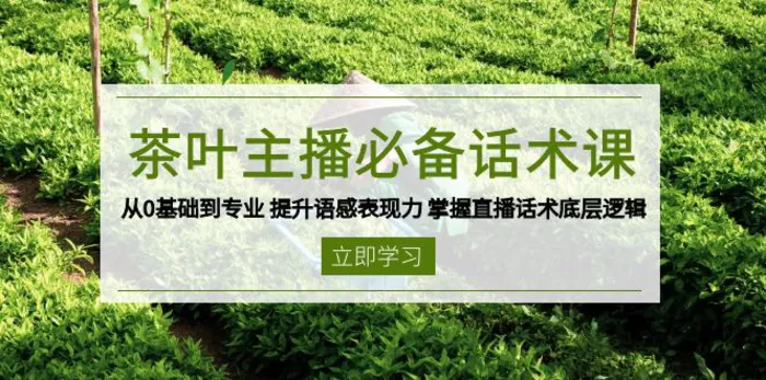 （13961期）茶叶 主播必备话术课 从0基础到专业 提升语感表现力 掌握直播话术底层逻辑 - 副业心选-副业心选
