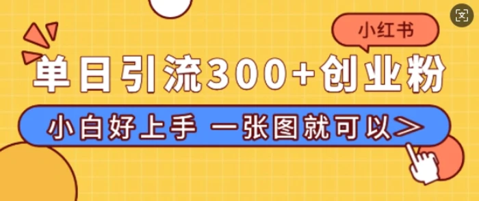 小红书单日引流300+创业粉，“简单粗暴”引流法，小白好上手，私信回不完 - 副业心选-副业心选