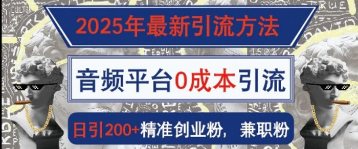 2025年最新引流方法，音频平台0成本引流，日引200+精准创业粉 - 副业心选-副业心选