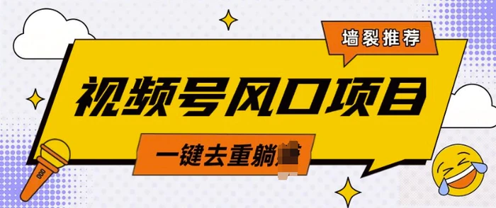 视频号风口蓝海项目，中老年人的流量密码，简单无脑，一键去重，轻松月入过W - 副业心选-副业心选