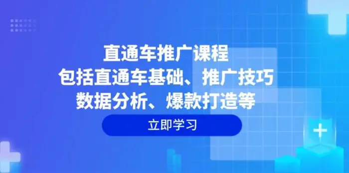 直通车推广课程：包括直通车基础、推广技巧、数据分析、爆款打造等 - 副业心选-副业心选