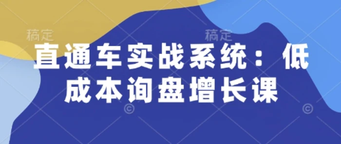 直通车实战系统：低成本询盘增长课，让个人通过技能实现升职加薪，让企业低成本获客，订单源源不断 - 副业心选-副业心选