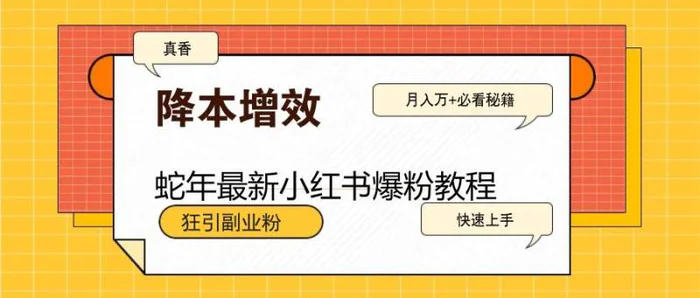 蛇年最新小红书爆粉教程，狂引副业粉，月入万+必看 - 副业心选-副业心选