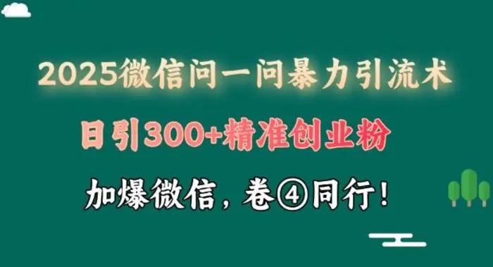 2025最新微信问一问暴力引流术揭秘，日引300+创业粉，单日变现四位数-副业心选