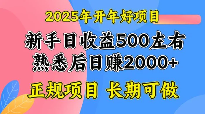 （14076期）2025开年好项目，单号日收益2000左右 - 副业心选-副业心选
