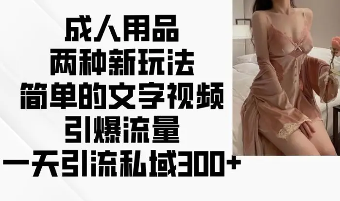 成人用品两种新玩法，简单的文字视频引爆流量，一天引流私域300+ - 副业心选-副业心选