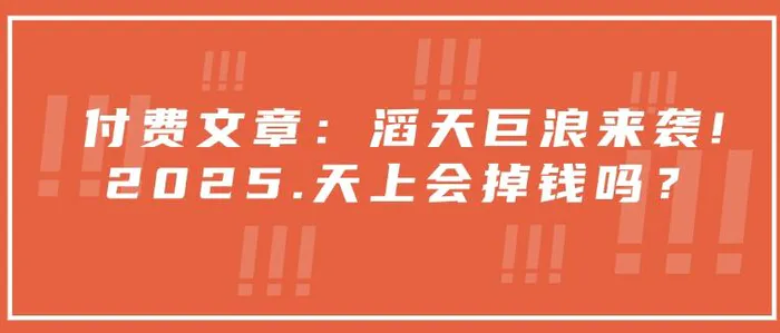 付费文章：滔天巨浪来袭！2025天上会掉钱吗？ - 副业心选-副业心选