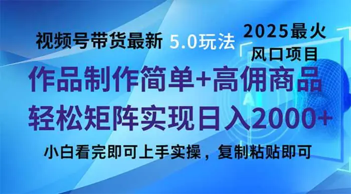 （14191期）视频号带货最新5.0玩法，作品制作简单，当天起号，复制粘贴，轻松矩阵…-副业心选