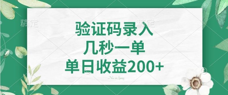 （14221期）验证码录入，几秒一单，单日收益200+ - 副业心选-副业心选