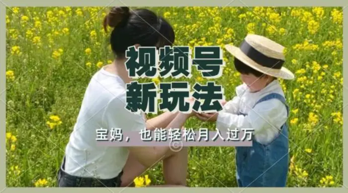 利用车祸意外视频，撸视频号分成收益，轻松月入过W，操作简单，适合宝妈，上班族 - 副业心选-副业心选