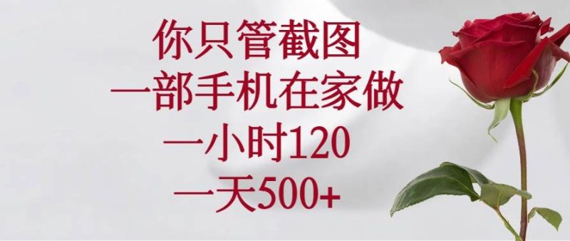 （14248期）你只管截图，一部手机在家做，一小时120，一天500+-副业心选