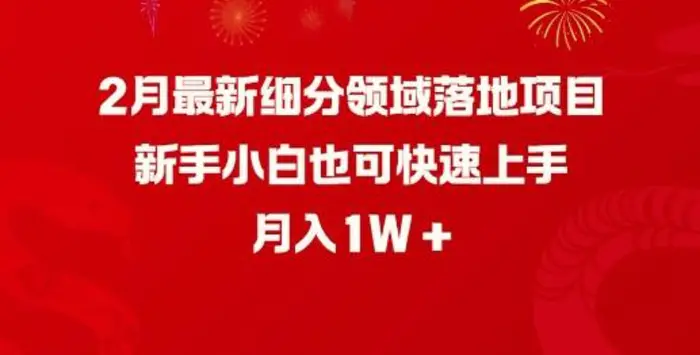 2月最新细分领域落地项目，新手小白也可快速上手，月入1W - 副业心选-副业心选