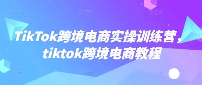 TikTok跨境电商实操训练营，tiktok跨境电商教程 - 副业心选-副业心选