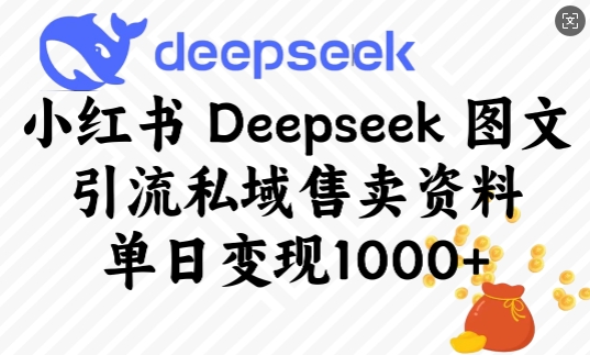 小红书Deepseek图文引流私域售卖资料，单日变现多张 - 副业心选-副业心选