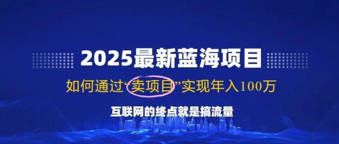 （14305期）2025最新蓝海项目，零门槛轻松复制，月入10万+，新手也能操作！ - 副业心选-副业心选