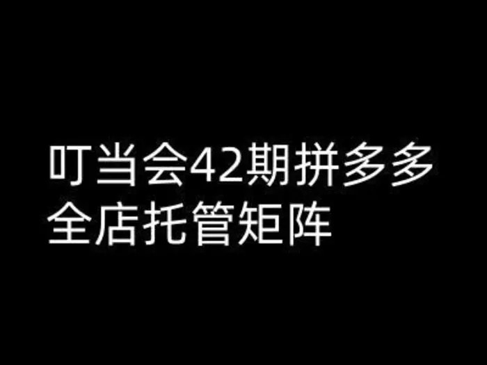 叮当会拼多多打爆班原创高阶技术第42期，拼多多全店托管矩阵-副业心选