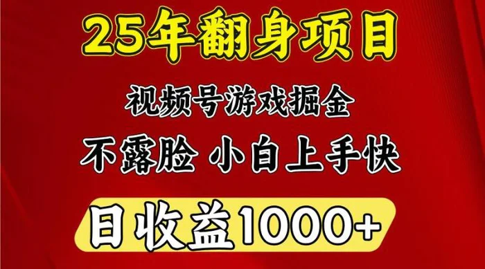一天收益1000+ 25年开年落地好项目-副业心选