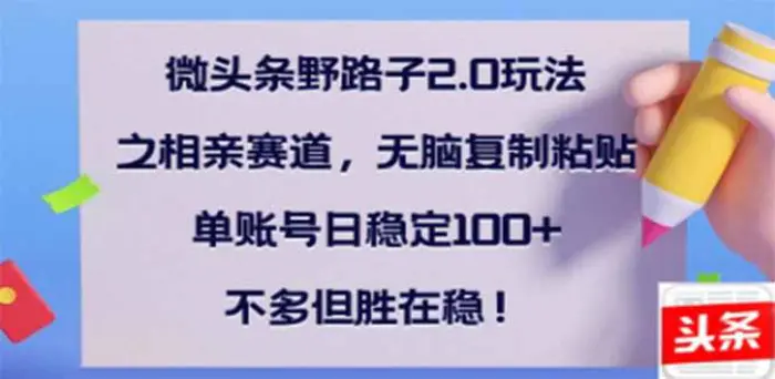 （14334期）微头条野路子2.0玩法之相亲赛道，无脑搬砖复制粘贴，单账号日稳定300+…-副业心选